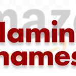 Amazon fiasco -- naming names