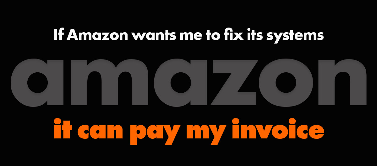 Amazon: pay my invoice to fix your systems