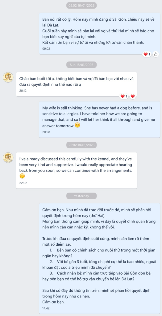 Chat messages showing the author requesting a two-week trial period and Cham Pets Family confirming that no trial adoption policy is offered.
