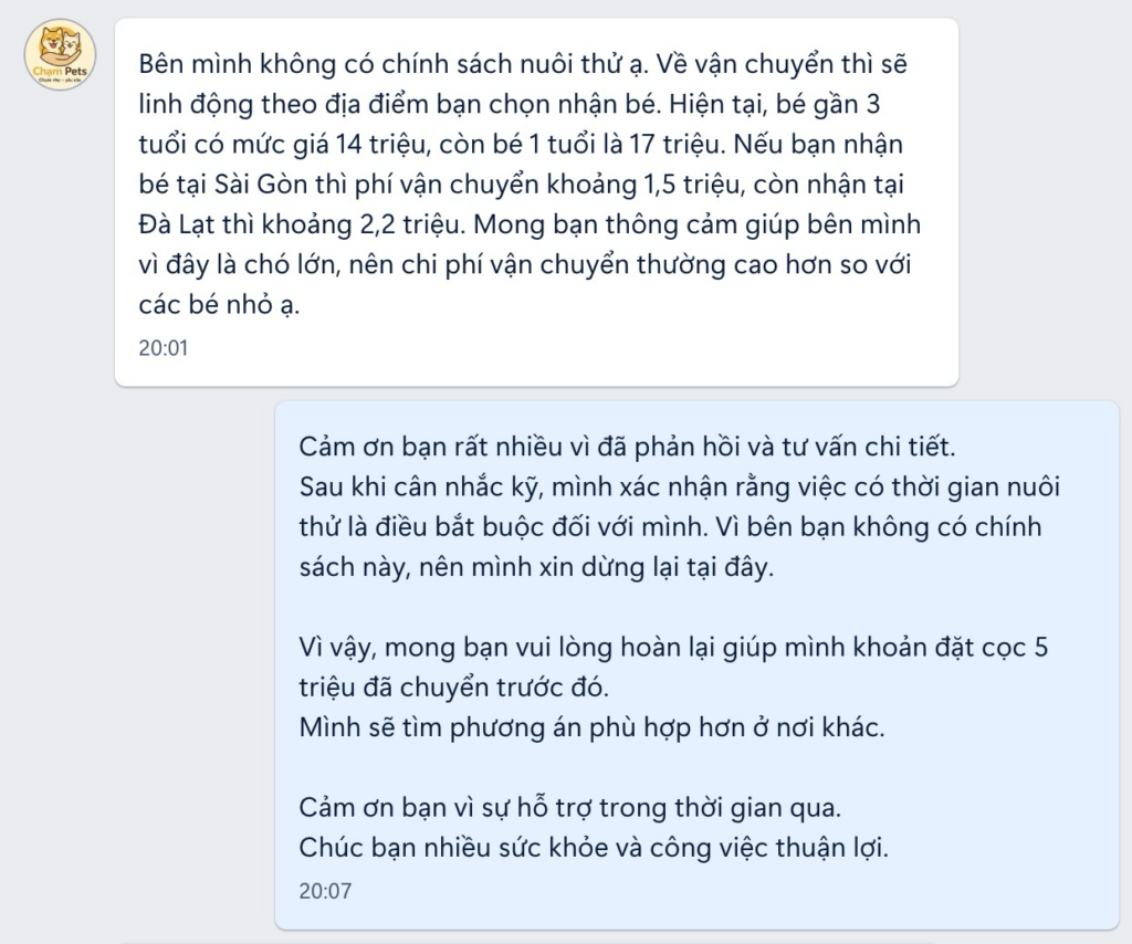 Follow-up chat messages sent after the author asked for time to consider the decision, indicating continued contact from the seller.